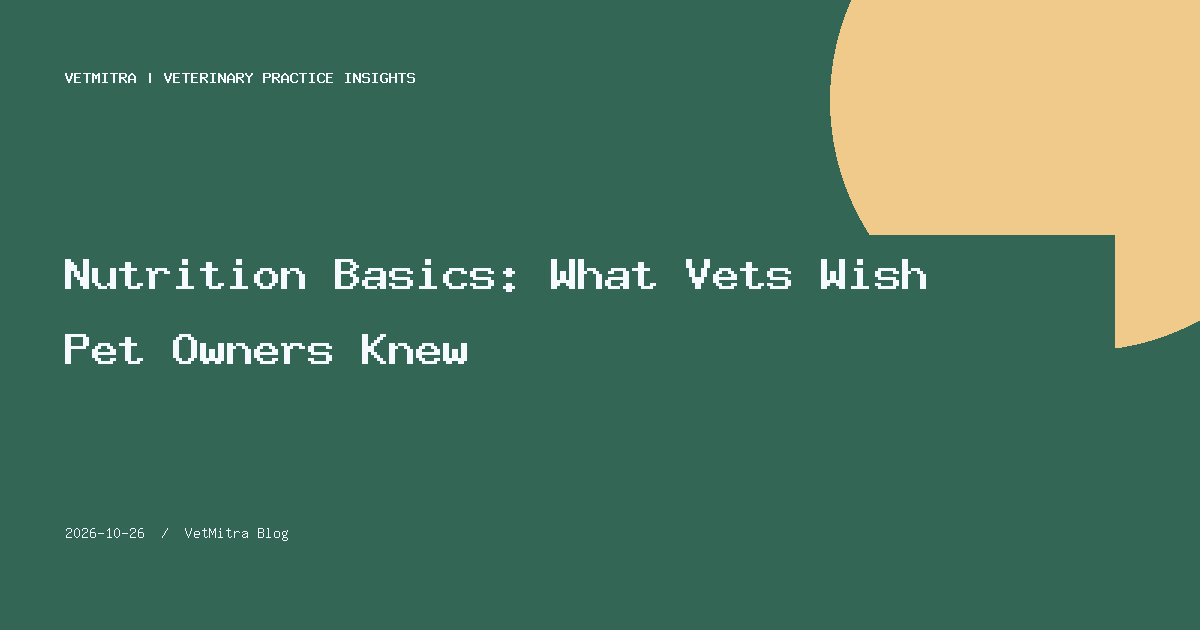 Nutrition Basics: What Vets Wish Pet Owners Knew